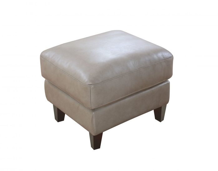 Picture of Georgetowne Chino Ottoman
