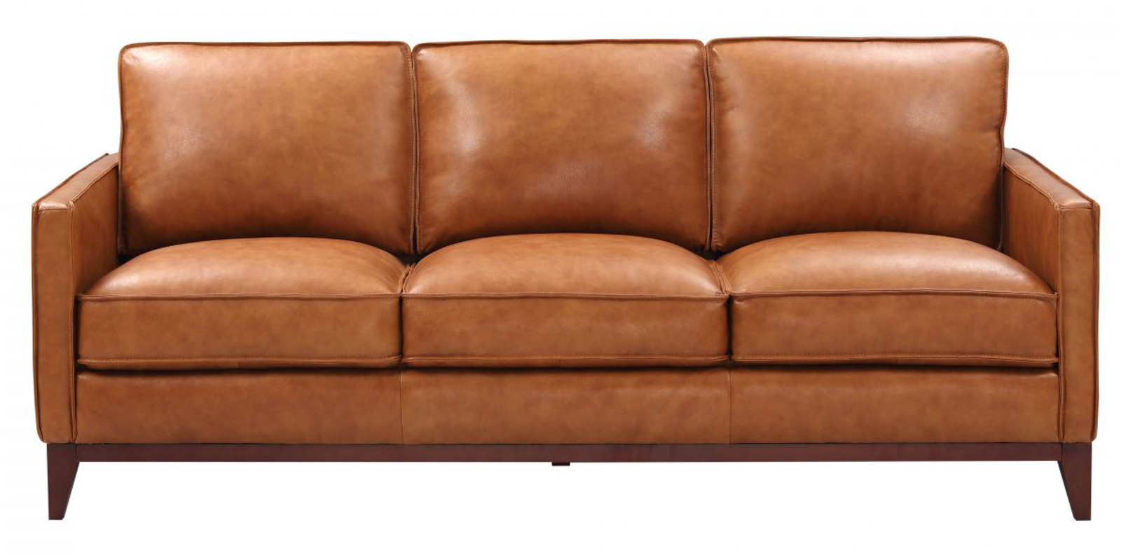 Picture of Georgetowne Newport Sofa