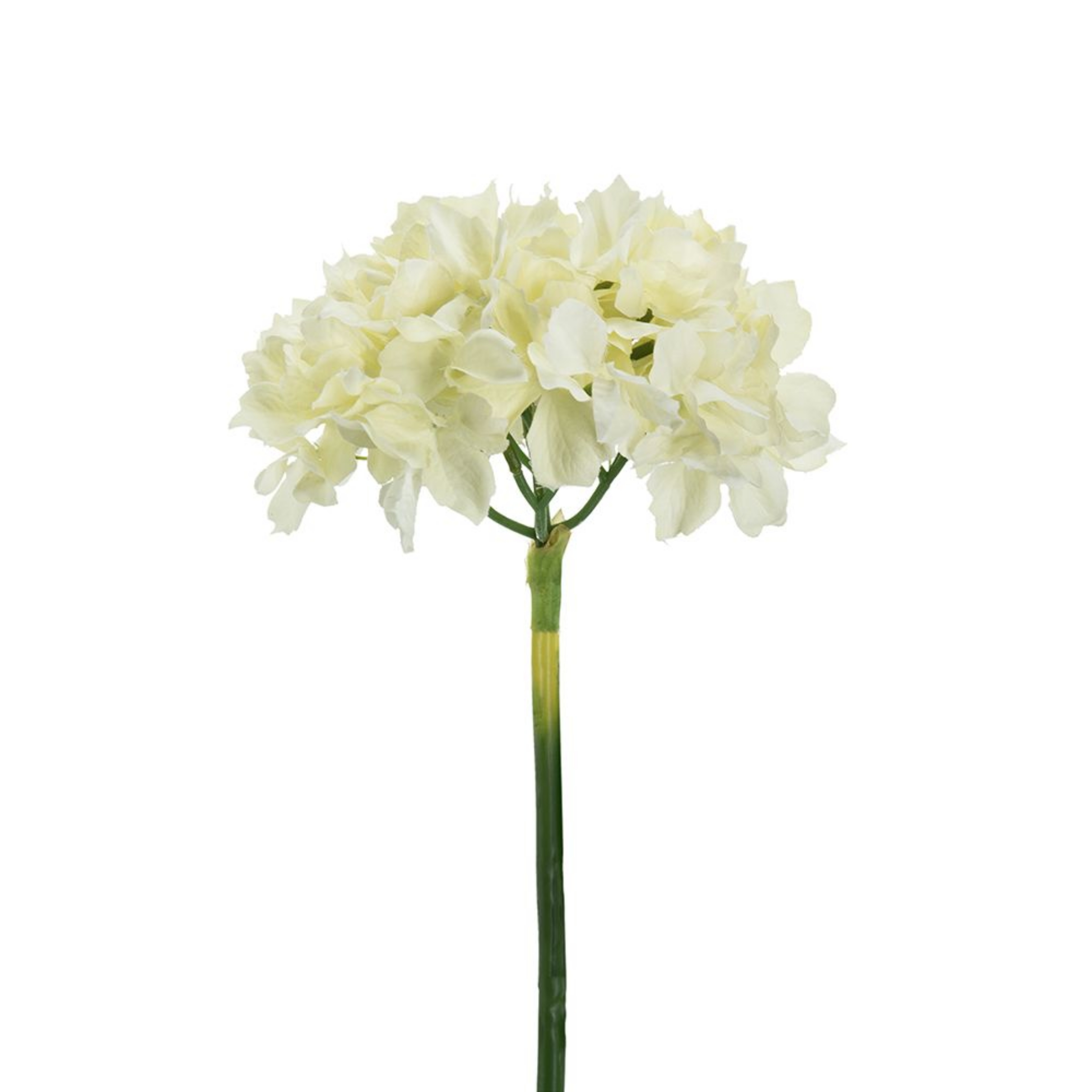 Picture of 14in Hydrangea