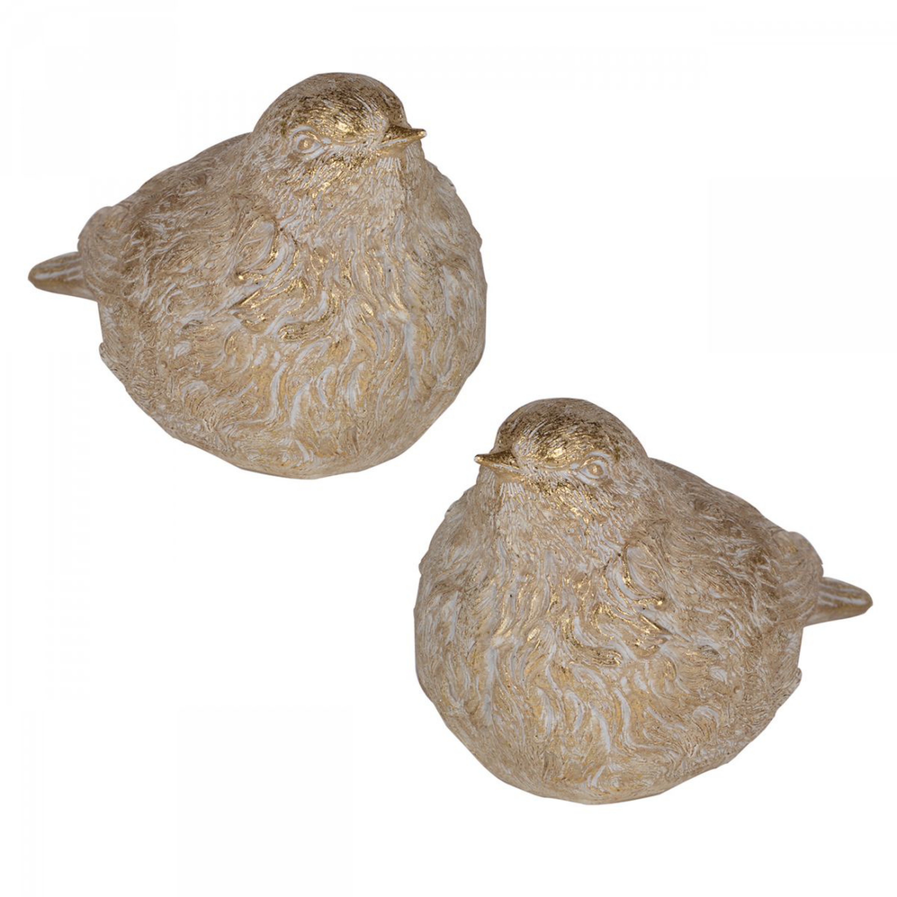 Picture of Warbler Set