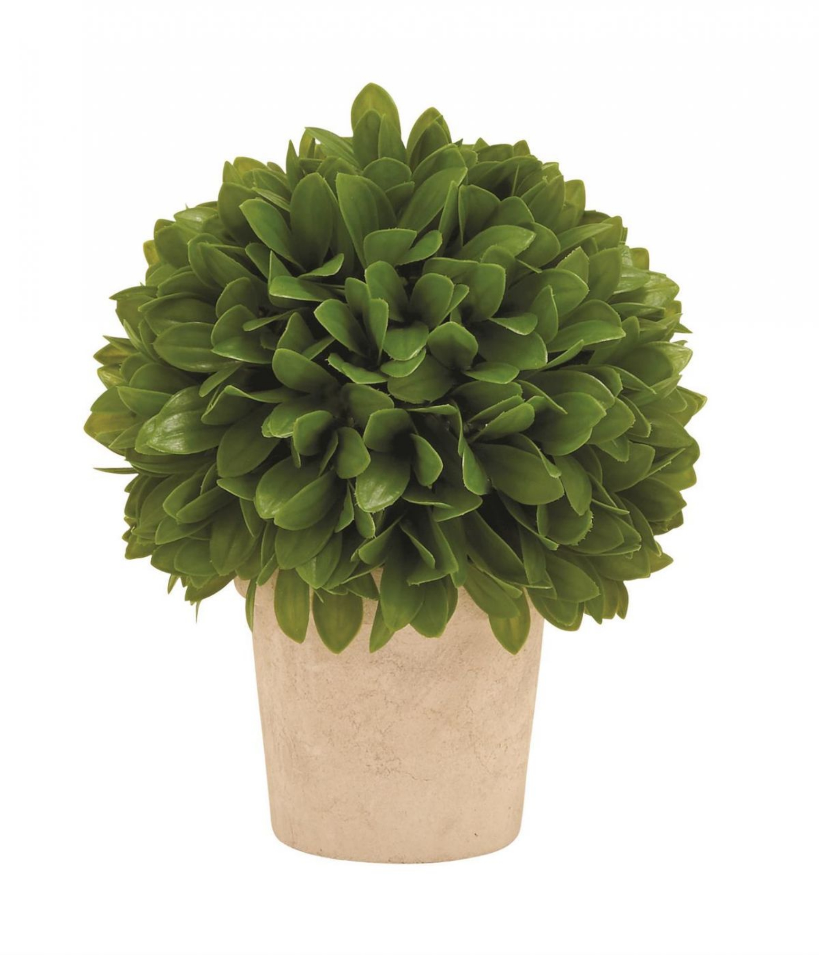 Picture of Leaf Ball in Pot