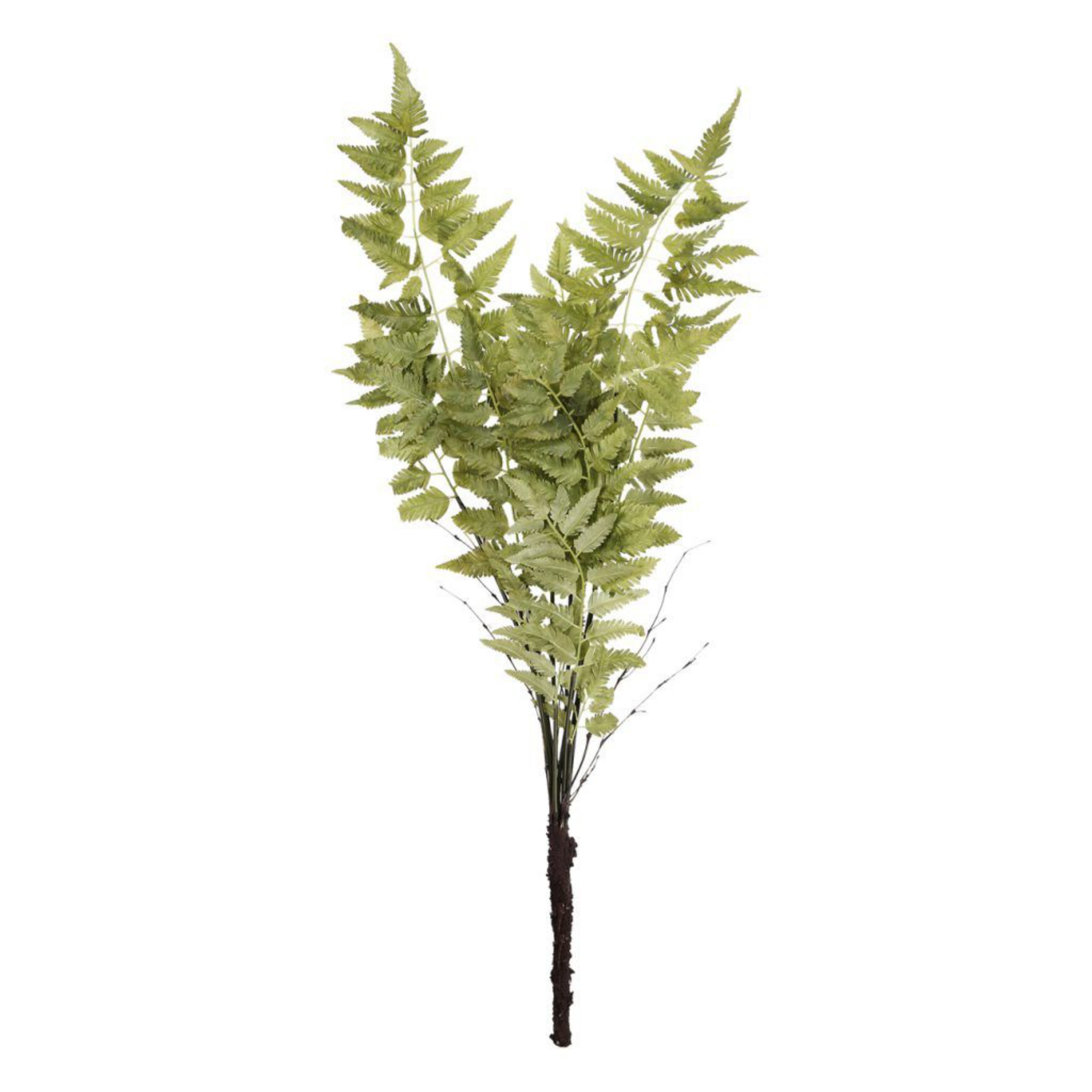 Picture of 36in Fern Spray