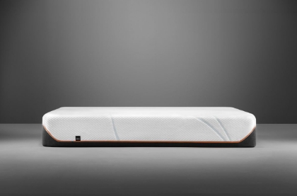 Picture of ProAdapt Firm Twin Mattress