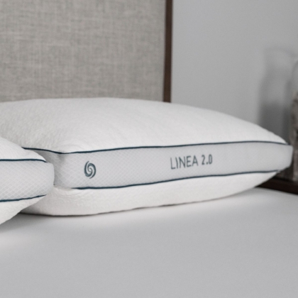 Picture of Linea 2.0 Pillow