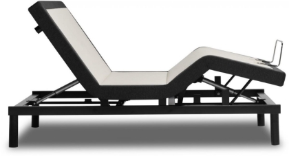 Picture of Ergo Twin XL Adjustable Base