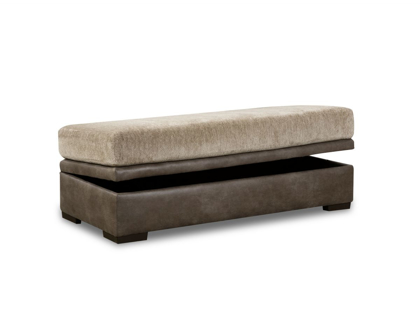 Picture of Behold Home Storage Ottoman