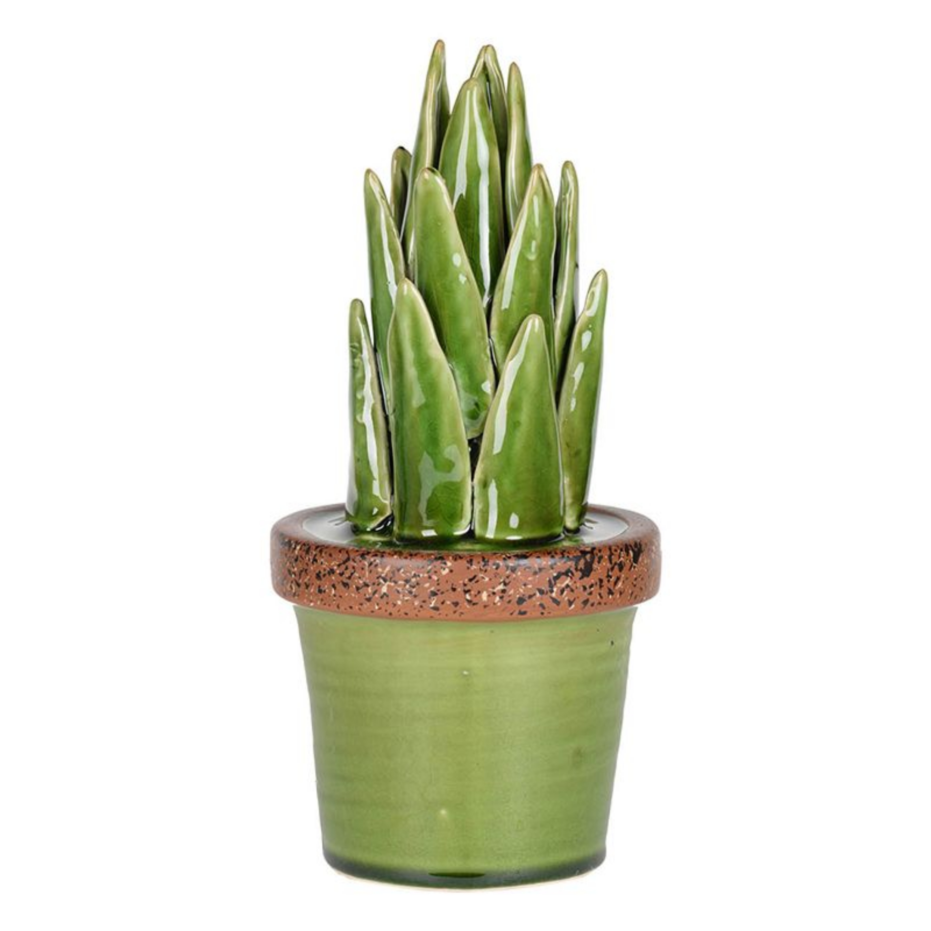 Picture of Decorative Ceramic Plant