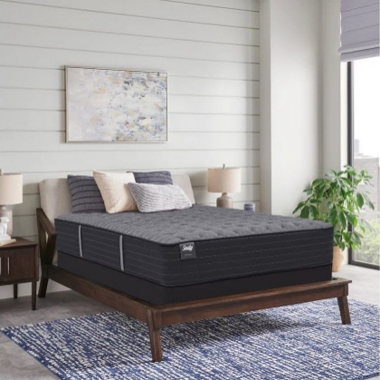 Picture of Princeton Firm Twin Mattress