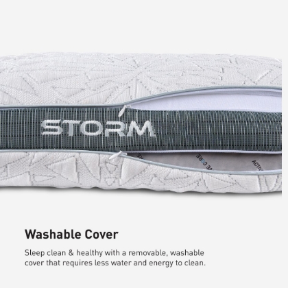 Picture of Storm 2.0 Back Pillow