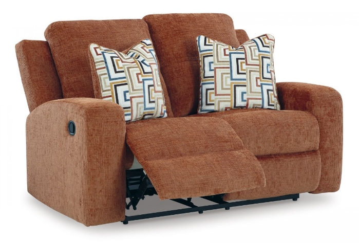 Picture of Danum Reclining Loveseat