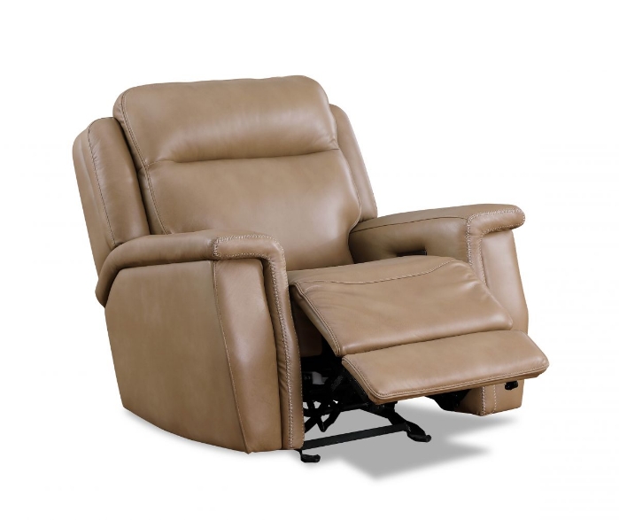 Picture of Fischer Power Recliner