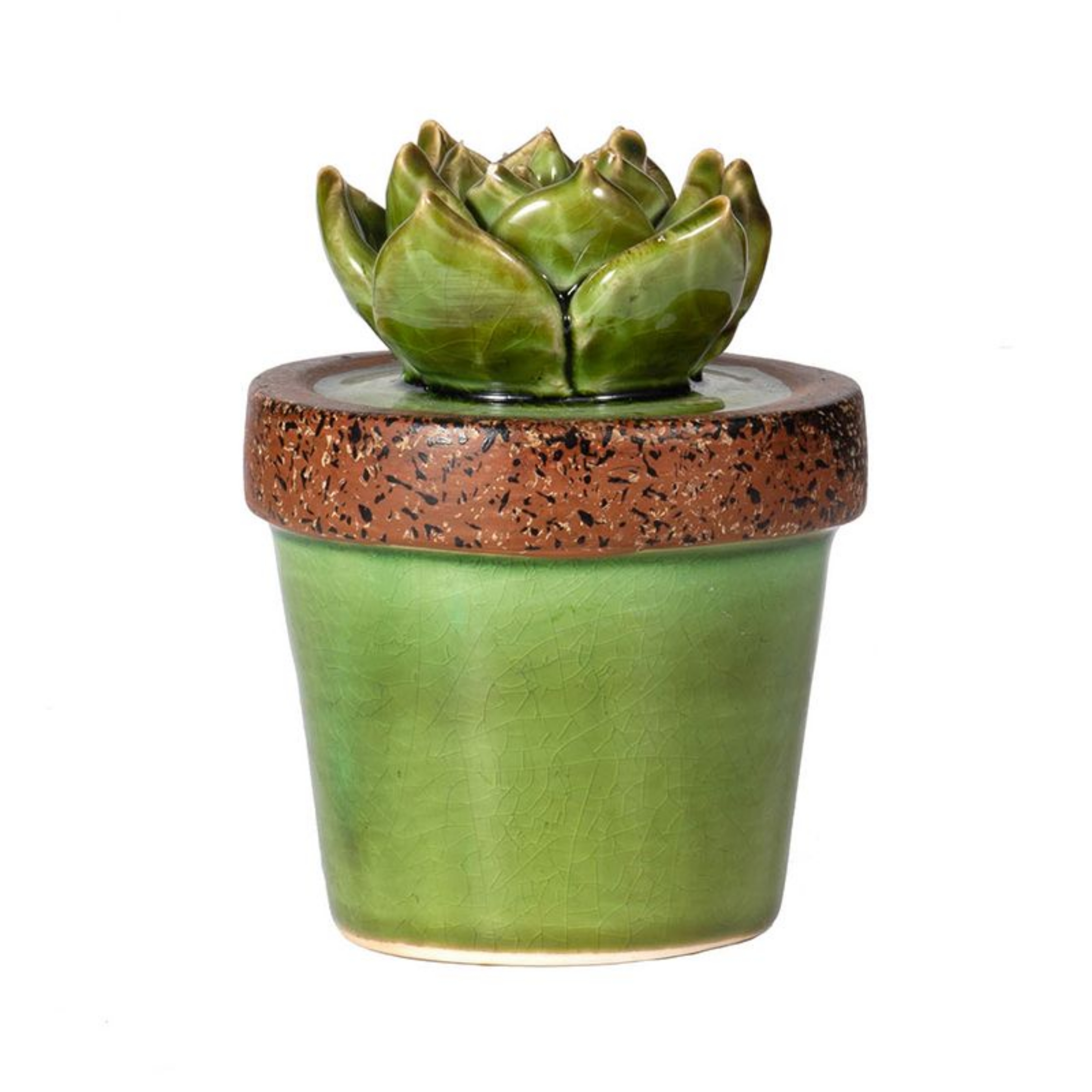 Picture of Decorative Ceramic Plant