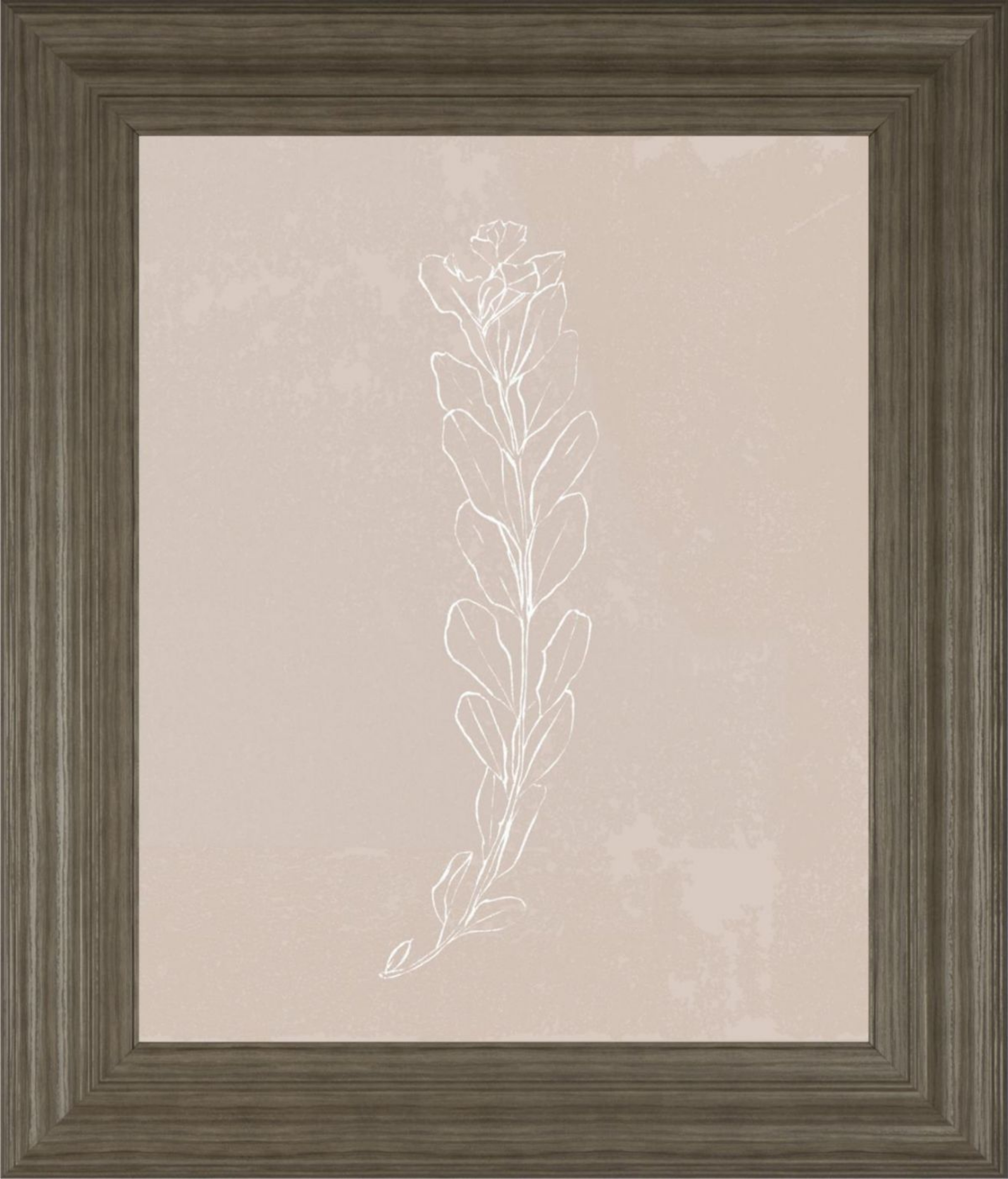 Picture of Blush Bloom II Wall Art