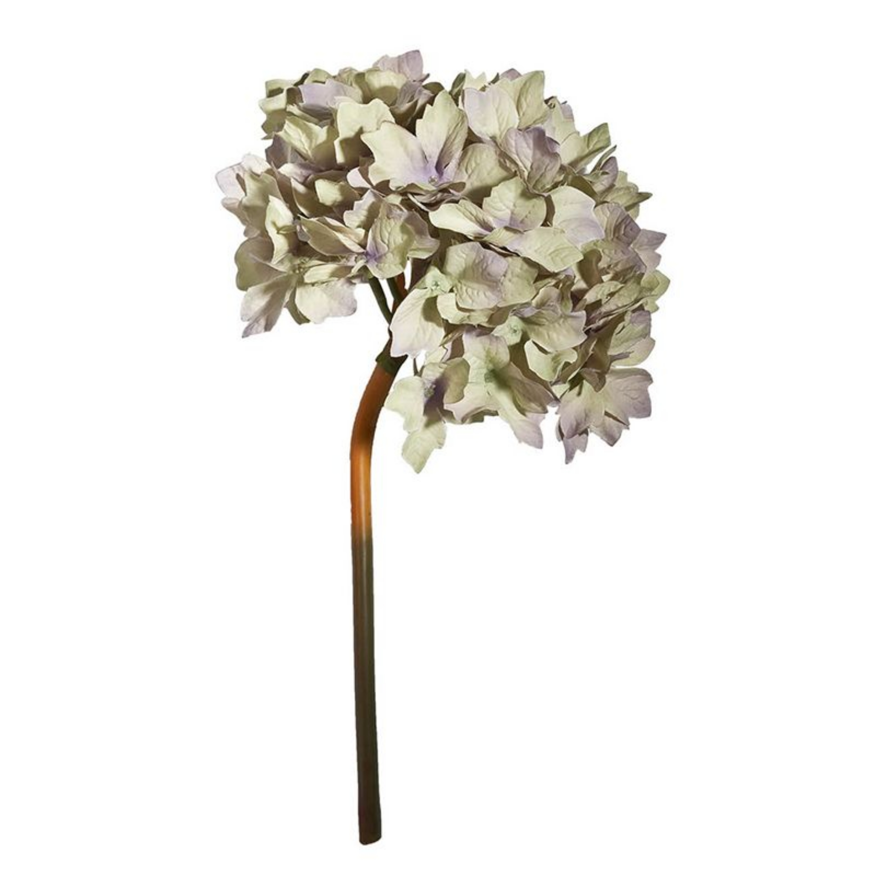 Picture of 14" Hydrangea