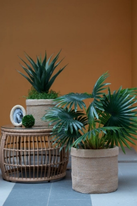 Picture of Planters Set