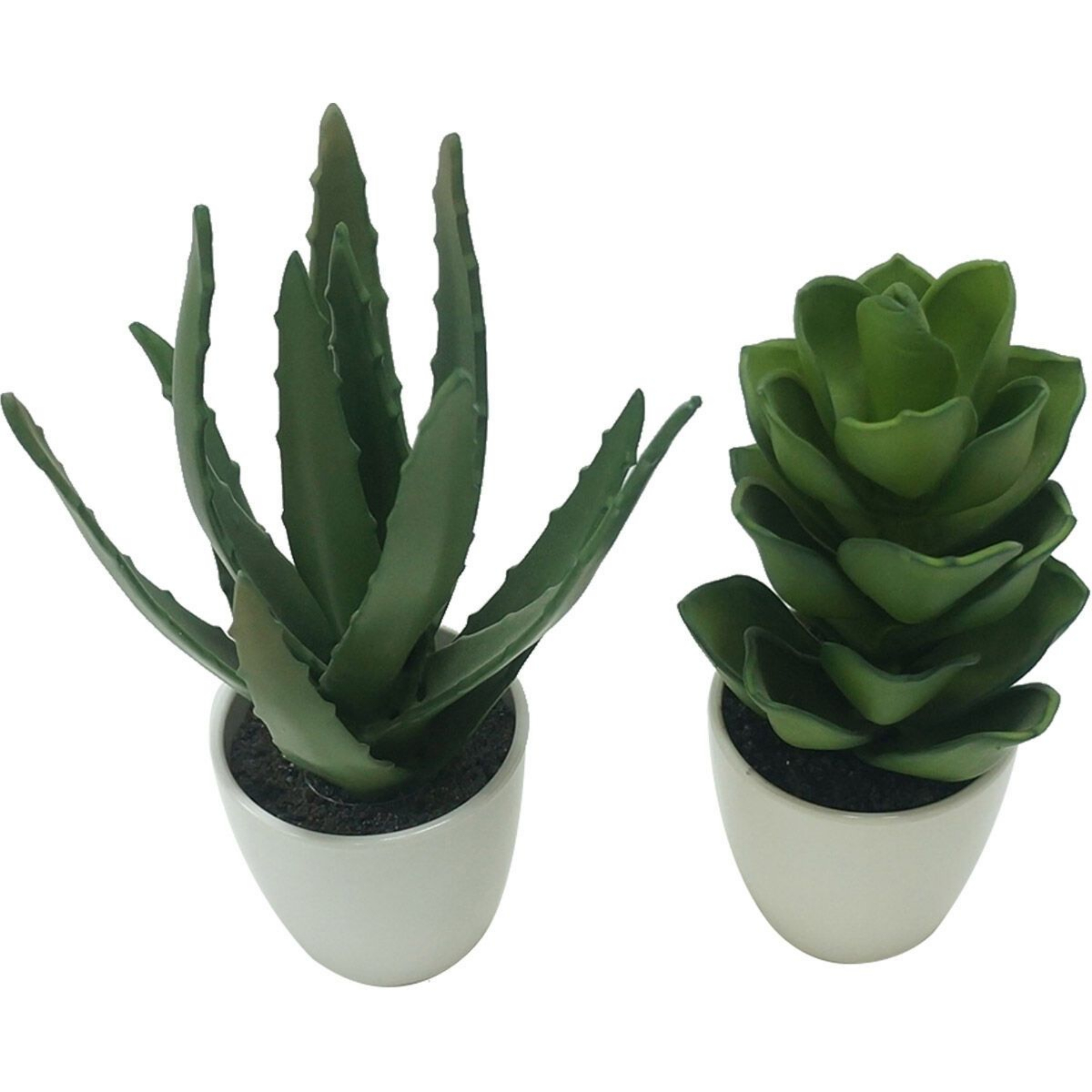 Picture of Faux Succulents Set