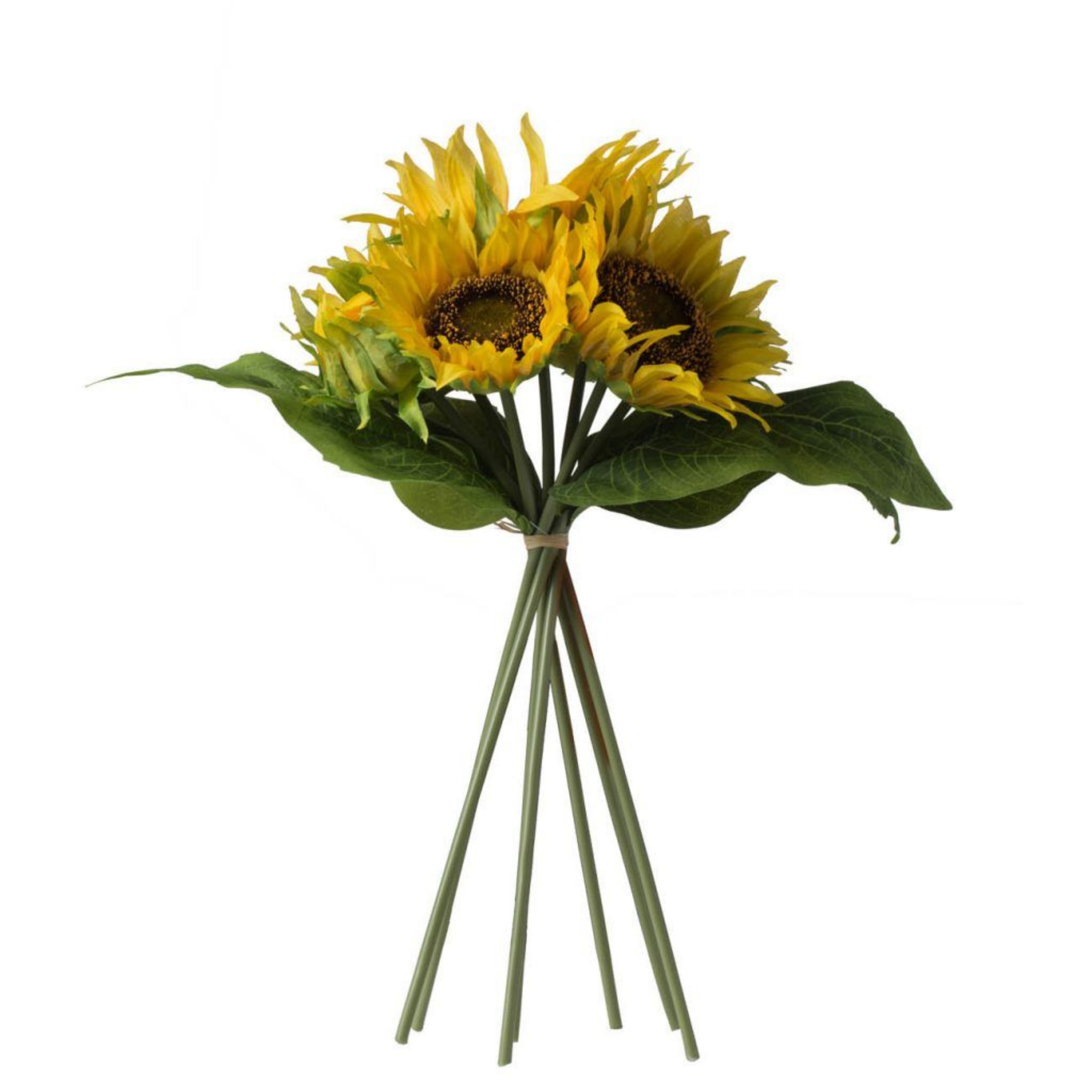 Picture of Sunflower Bundle