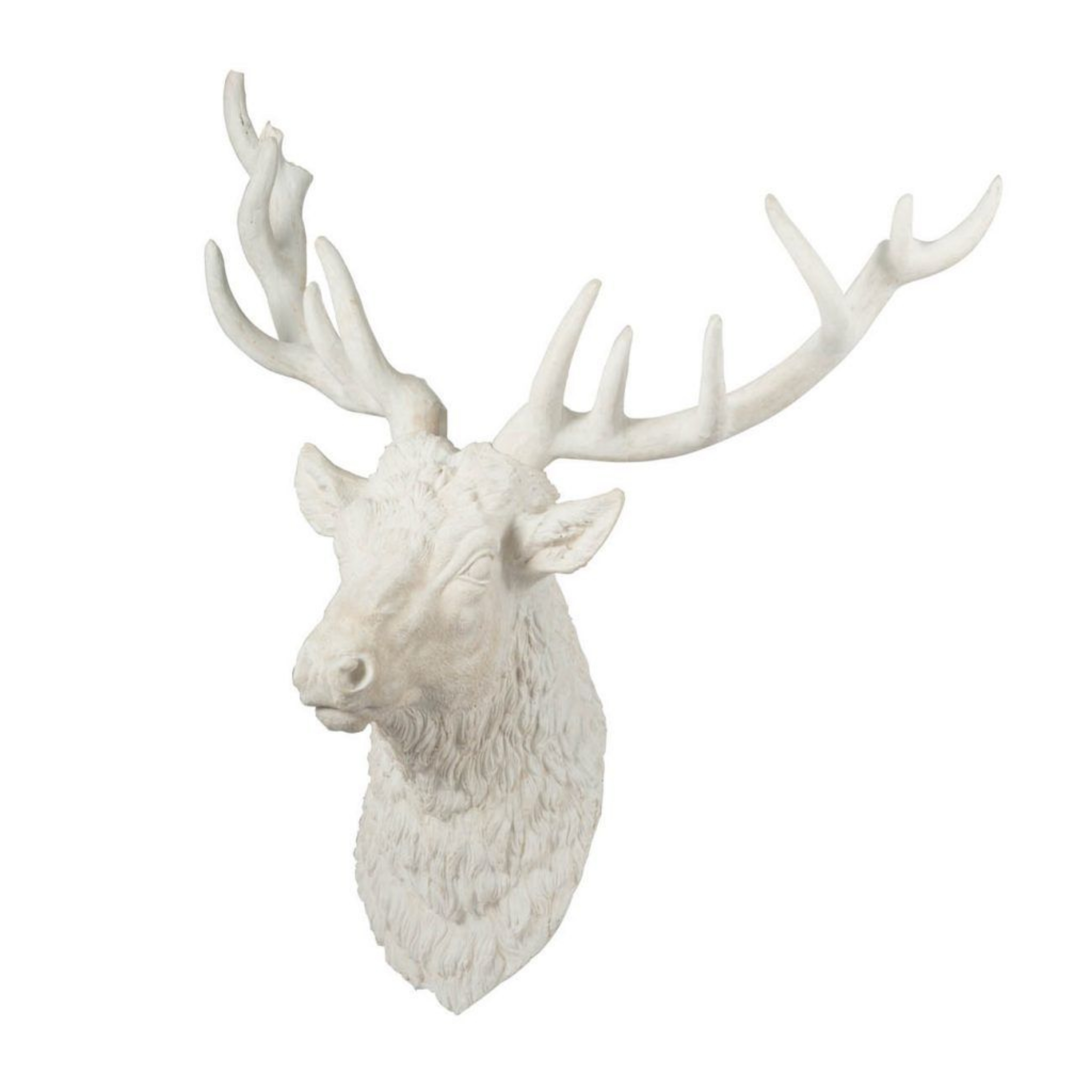 Picture of Darby Deer Head Wall Accent