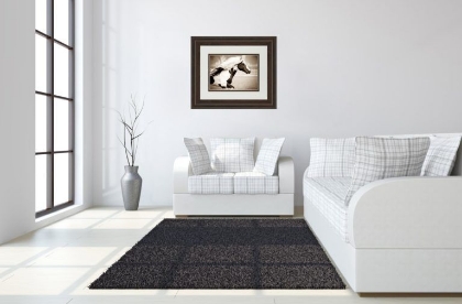 Picture of Gypsies Pride Wall Art