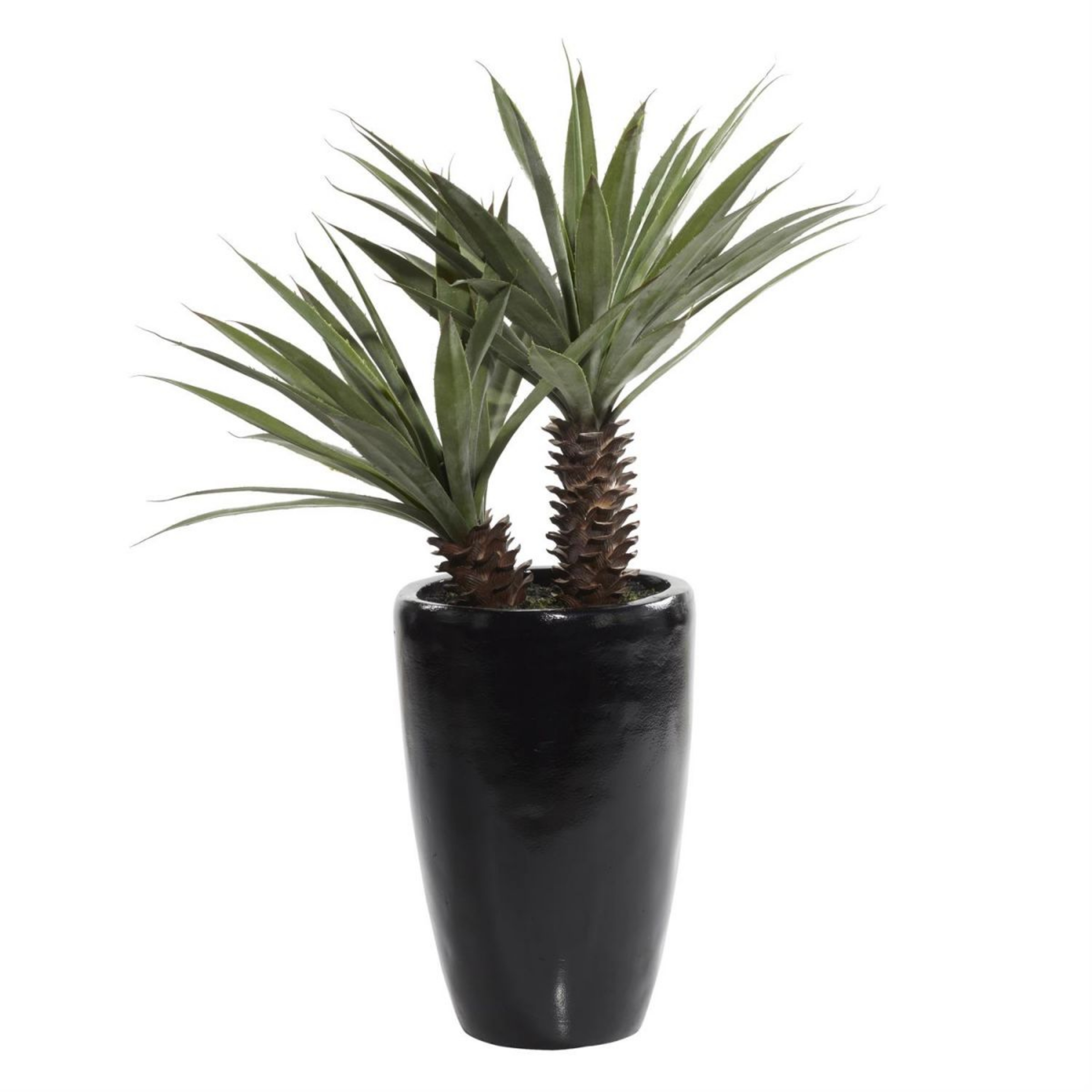 Picture of Faux Dracaena Plant