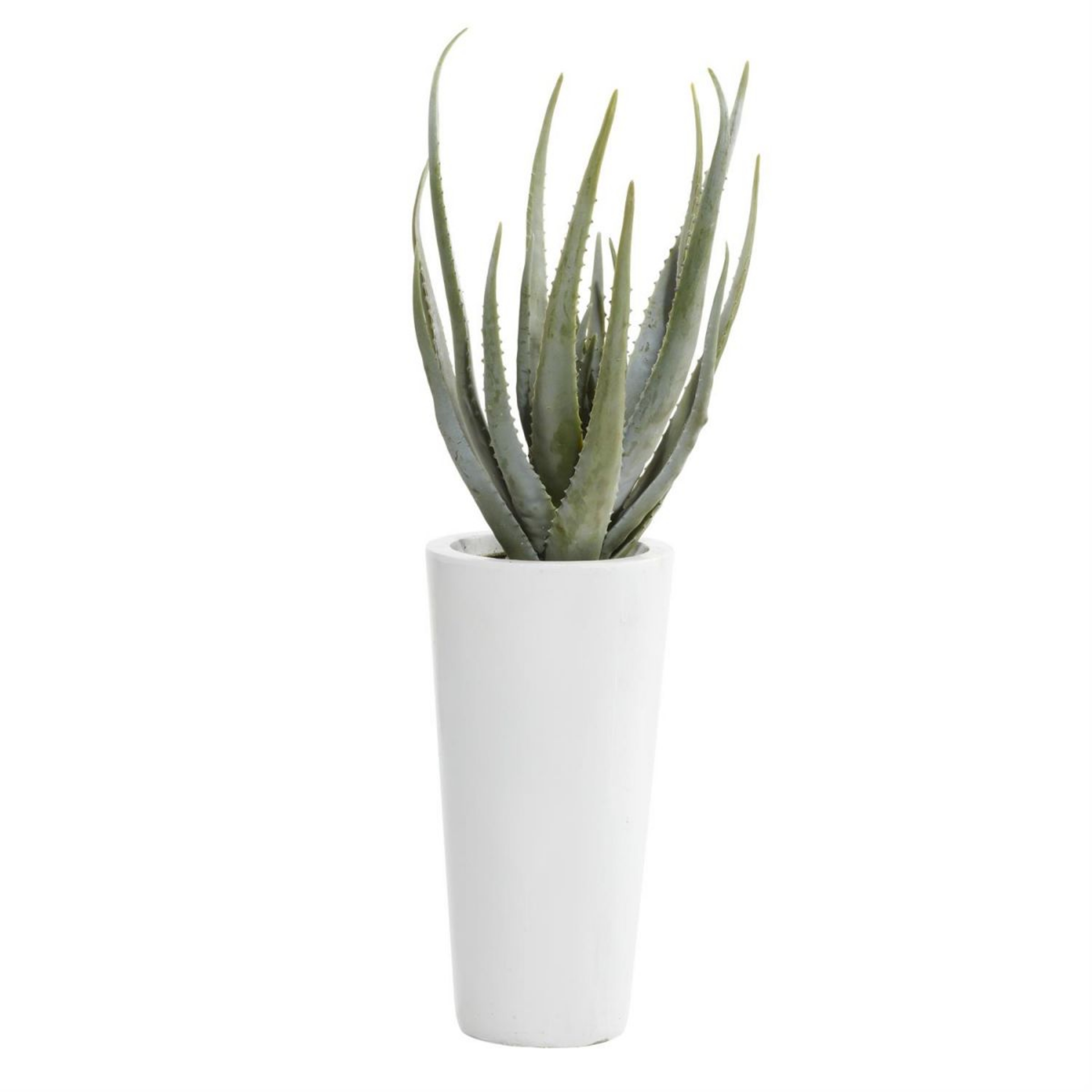 Picture of Faux Aloe Vera Plant
