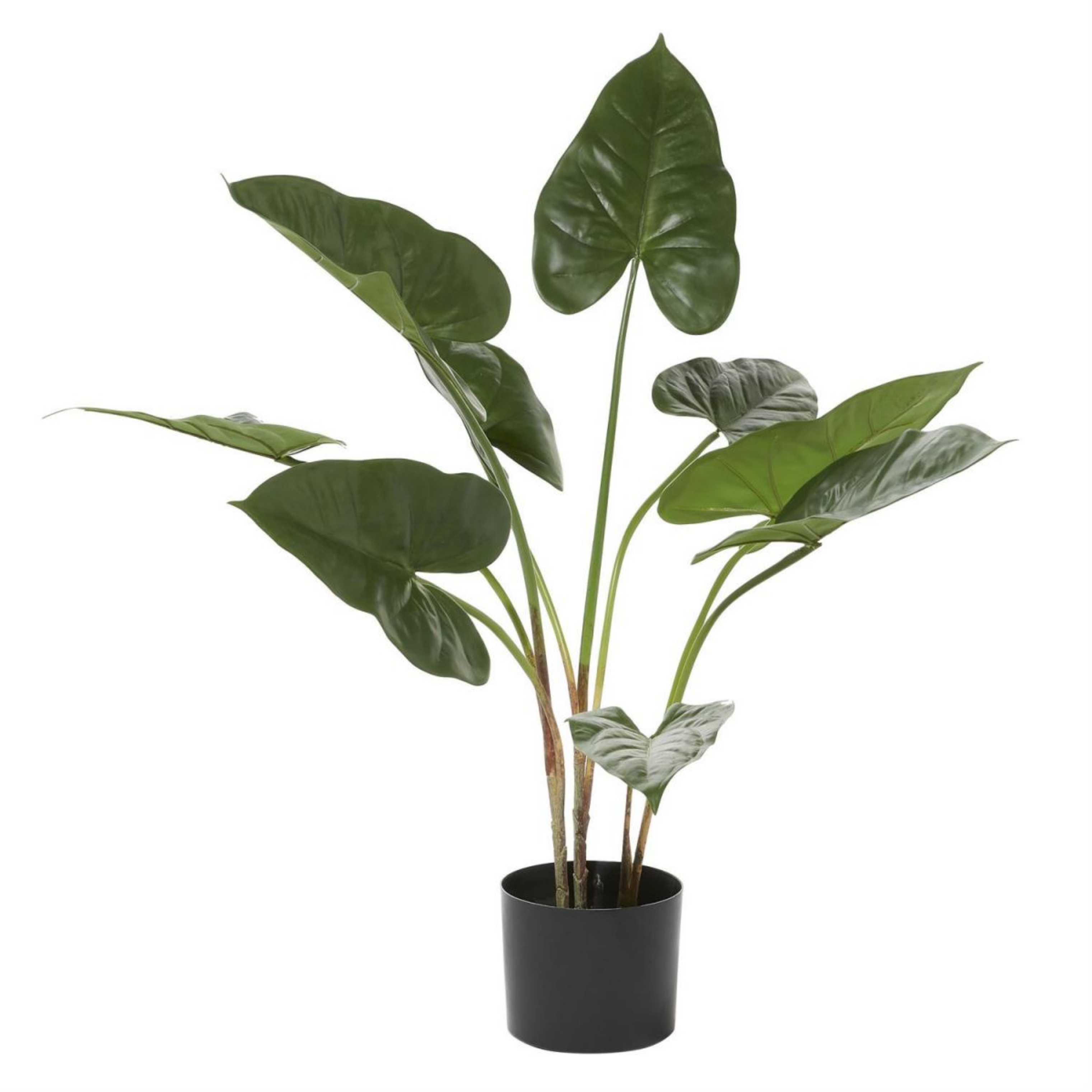 Picture of Faux Anthurium Plant