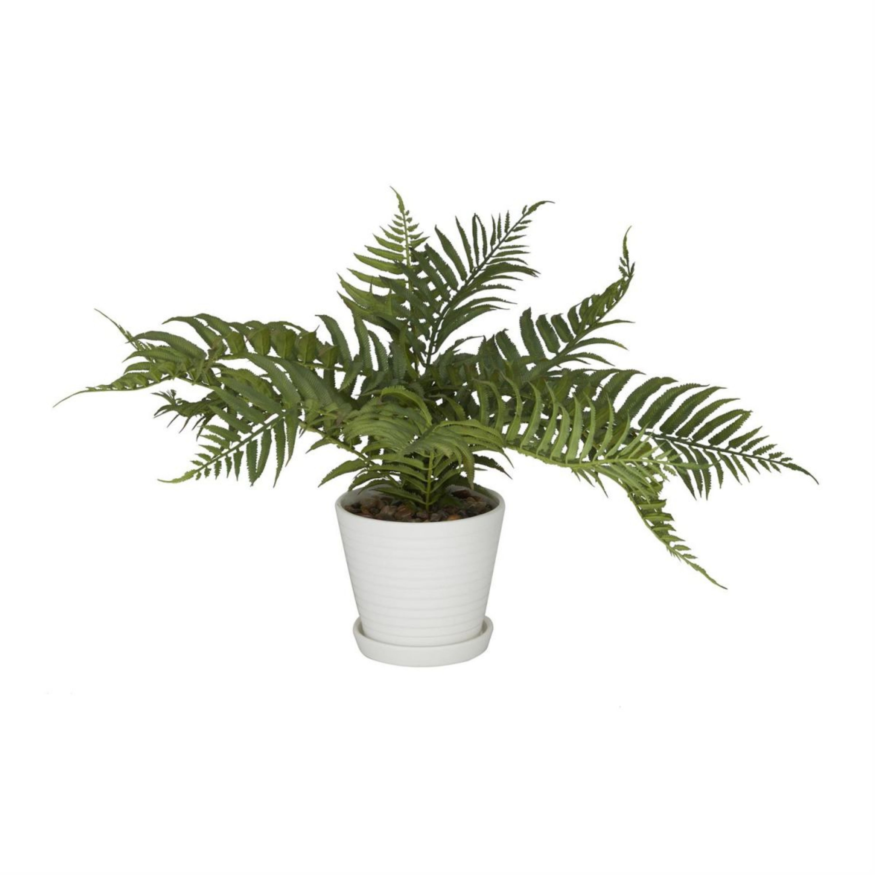 Picture of Faux Fern Plant