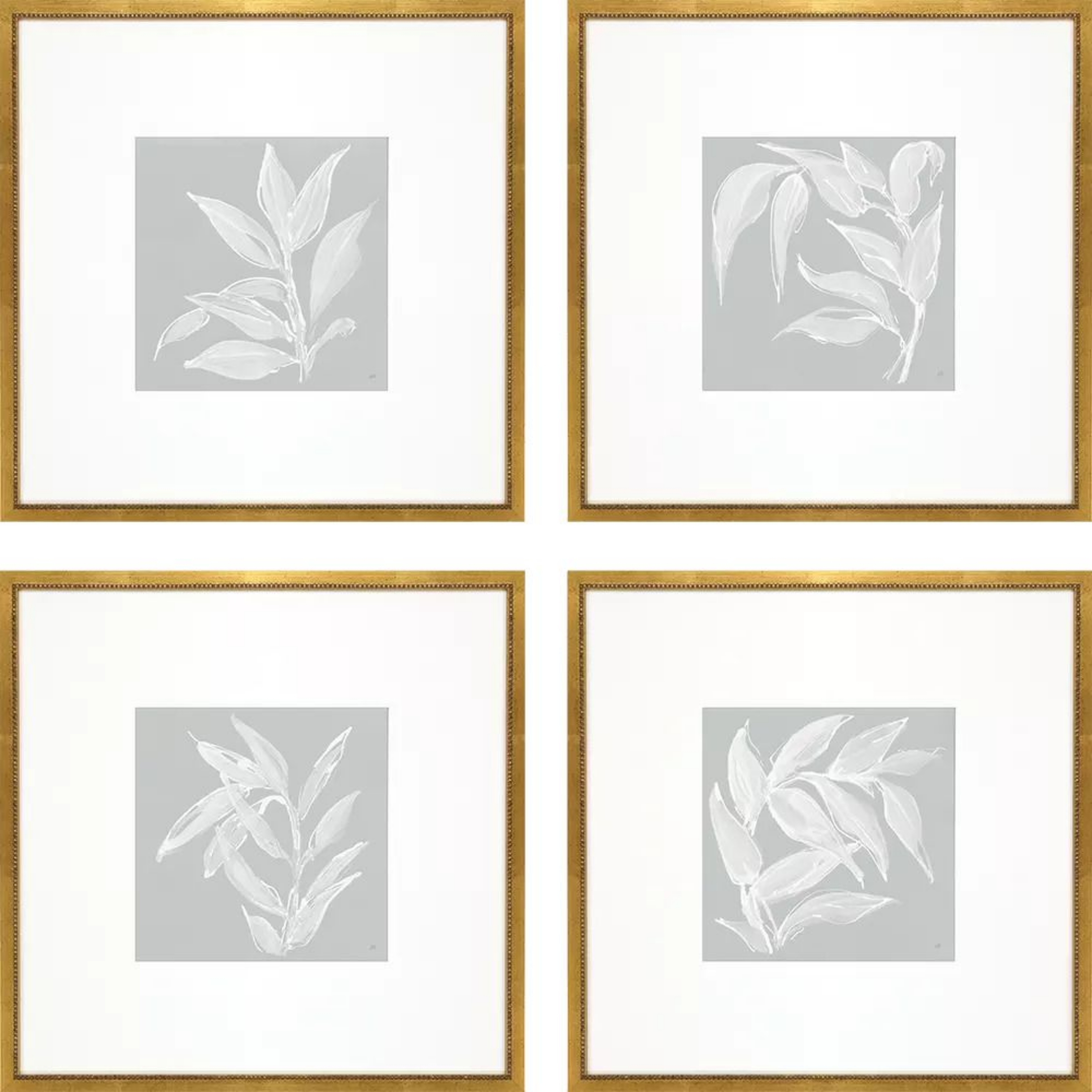 Picture of Leaf Study Wall Art Set