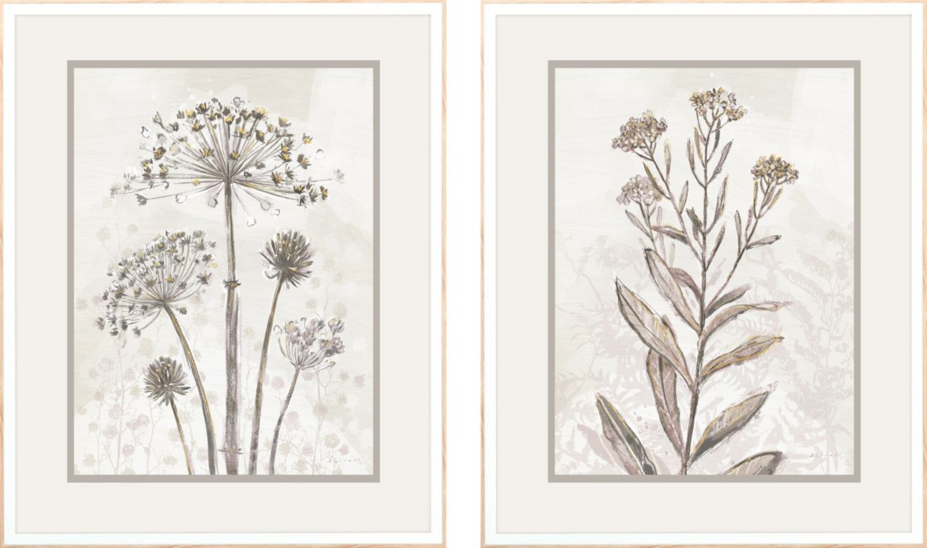 Picture of Dried Floral II Wall Art Set