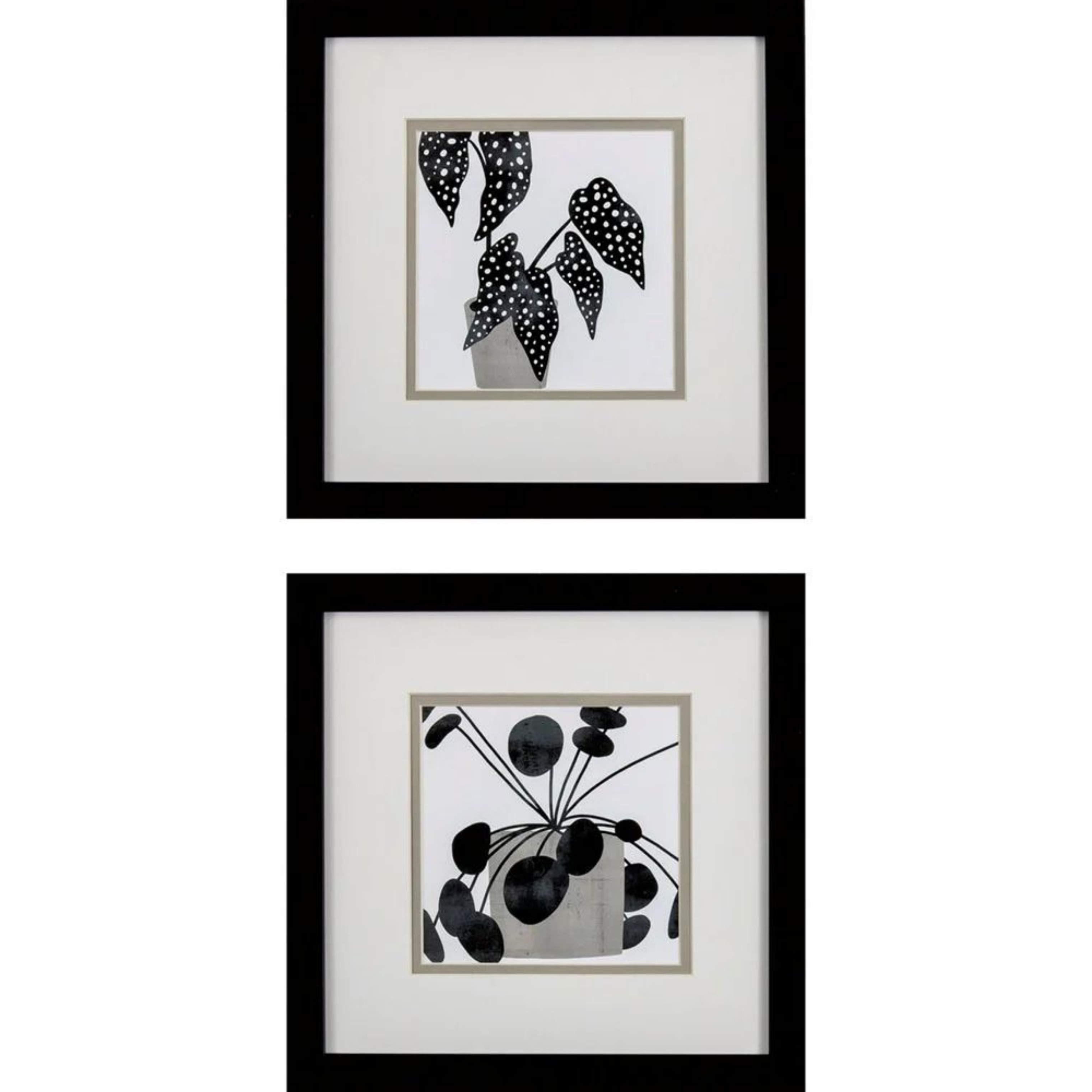 Picture of Plantling B Wall Art Set