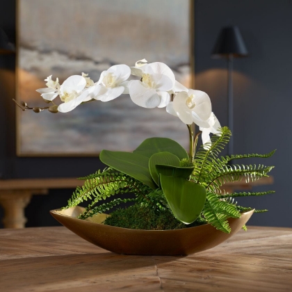 Picture of Transcend Orchid