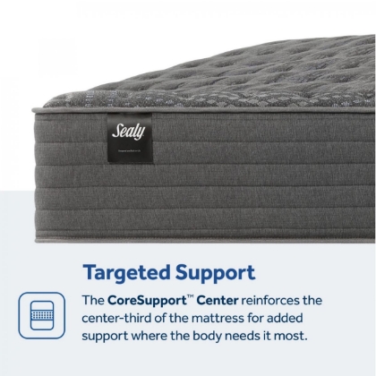 Picture of Princeton II Firm Queen Mattress