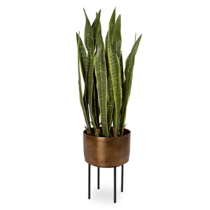 Picture of Fasita Planter