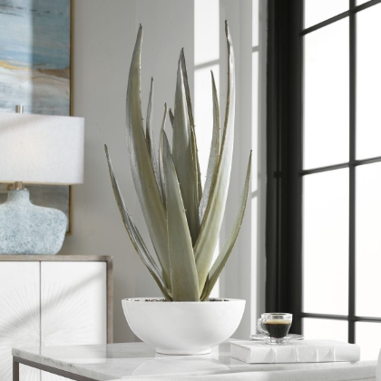 Picture of Evarado Aloe Planter