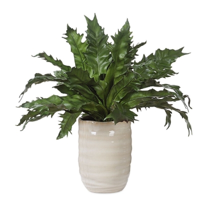 Picture of Verdure Fern