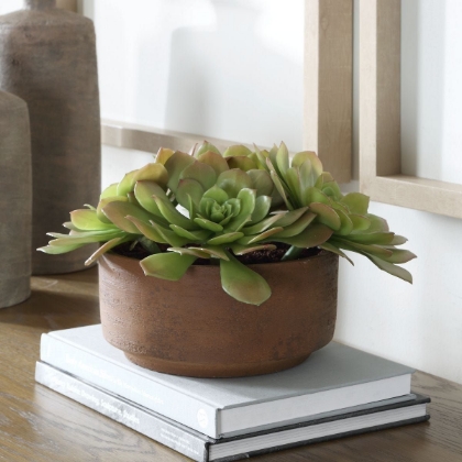 Picture of Sable Succulent Accent