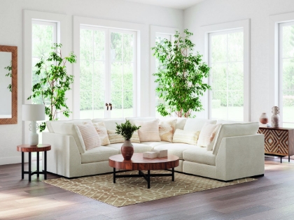 Picture of Donelson Creek Sectional