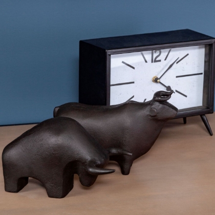 Picture of Tauro II Raging Bull