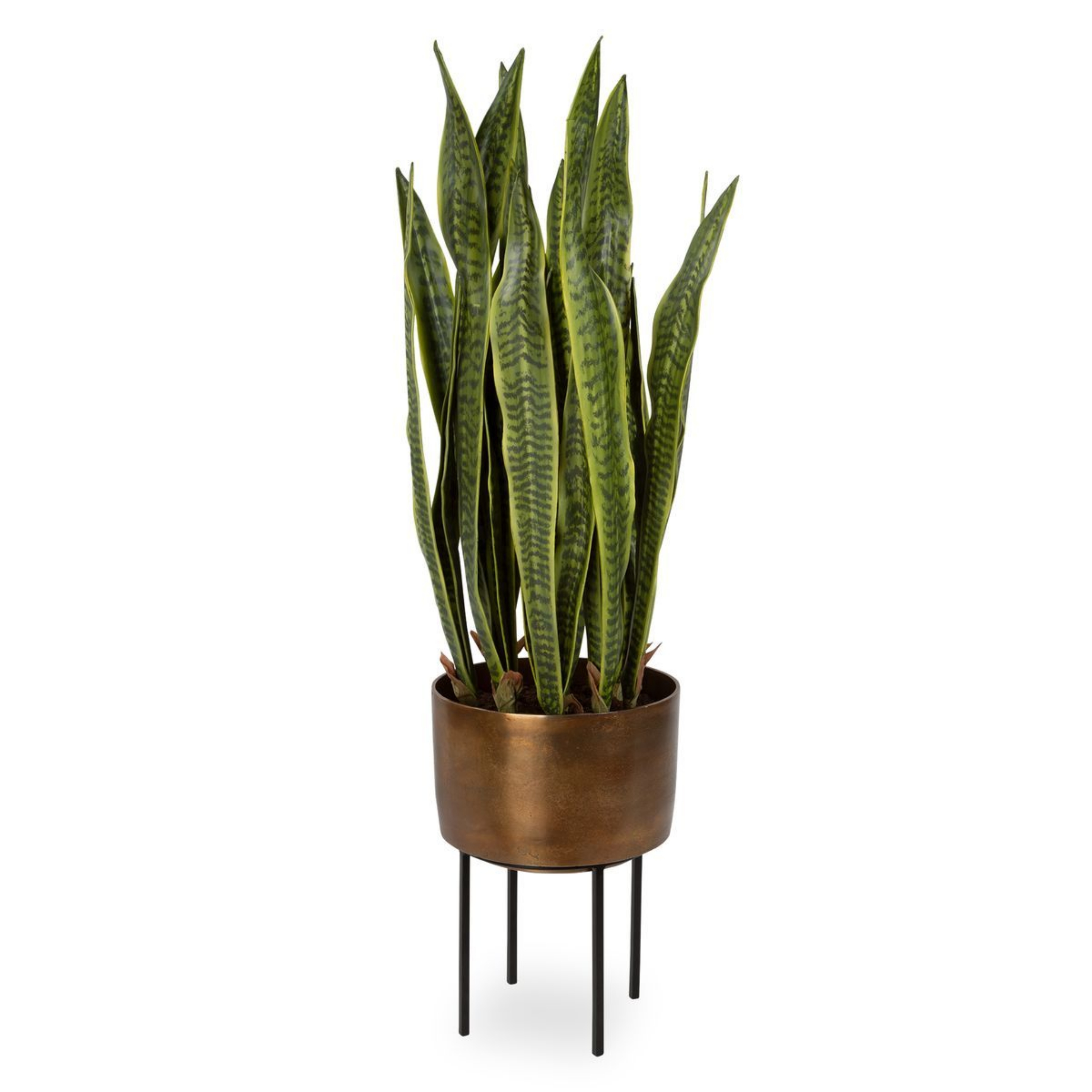 Picture of Fasita Planter