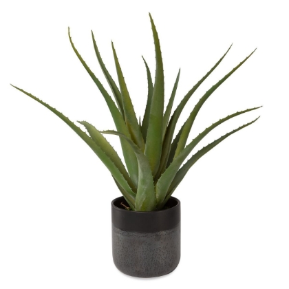 Picture of Tucson Aloe Planter